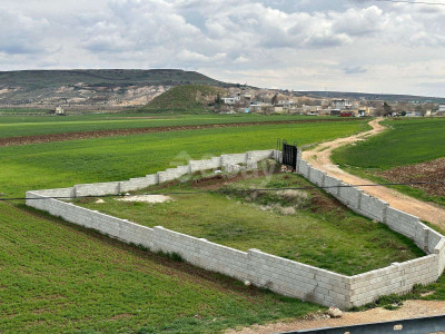 3BAY OKTAY SAĞLAMCI'DAN KAZIKLI'DA SATILIK TARLA